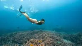 Nusa Lembongan with Manta Bay snorkelling all-inclusive tour