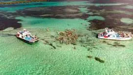 威爾頓加勒比海帆船之旅
