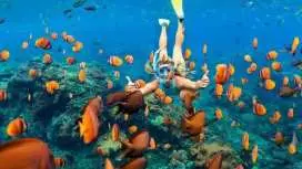 沙姆沙伊赫:拉斯穆罕默德浮潛船之旅|埃及
