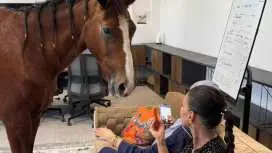 フジャイラ:サンセット・ヘリテージ・ビレッジ乗馬体験&エミラティ料理ディナー|アラブ首長国連邦