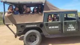 Sonoran Desert: Trails & Tequila Tasting Hummer Adventure|United States