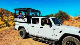 Scottsdale: Sonoran Desert to MountainTop Jeep Tour|United States
