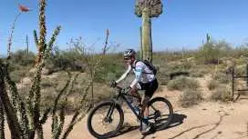 Scottsdale: Guided Mountain Bike Tour through the Desert|United States