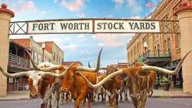 Fort Worth: Heritage and Landmarks Tour 70 MIN OR 3 HOURS|United States