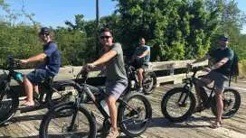 Sarasota: Myakka State Park E-bike Safari Experience|United States
