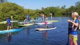 Siesta Key: Mangrove Kayak or Paddleboard Tour|United States