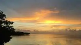 Marathon Key FL: Snorkel Trips and Sunset Cruises|United States