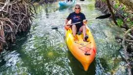 Sarasota: Lido Key Mangrove Tunnel Kayak or Paddleboard Tour|United States