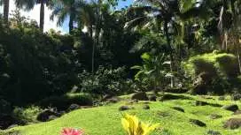 Princeville: Guided Botanical Gardens and Chocolate Tour|United States
