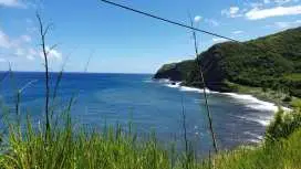 茂宜島:哈納之路之旅(含郵輪碼頭附近接送)|美國