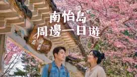 (首爾出發)一日遊:南怡島 / 羊駝世界 / 小法國村 / 鐵路自行車 / 晨靜樹木園|韓國