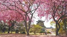 ソウル発水原華城日帰りツアー:ユネスコ世界遺産、韓屋、民俗村、色鮮やかな景色