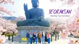ソウル発雪岳山日帰りツアー + 南怡島 / 桜 / 秋の花 / 魚毘氷谷