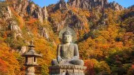 Seoraksan One Day Tour from Seoul + Nami Island / Cherry Blossom / Autumn Flower / Eobi Ice Valley