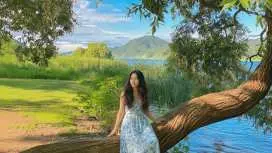 Gapyeong Alpaca & Sheep Ranch, Begonia Bird Park & Water Garden Tour