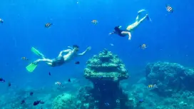 阿梅德峇里岛| 私人浮潜之旅,探索日本沉船、海龟点与水下寺庙 | 从阿梅德出发