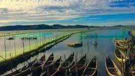Phu Yen Private Car Charter