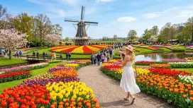 Chinese-language tour: Keukenhof Tulip Gardens & Windmill Village & Giethoorn Day Trip / Departing from Amsterdam & The Hague