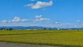 札幌発 | 上野農園+珍しい樹木が生い茂る美本林の森 | 庭園風農園と静寂な北欧の森 | 少人数グループ(6~9名) | 中国語を話せるドライバー