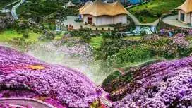 4月出發【春賞貴州包列遊】六盤水五天高鐵遊/烏蒙大草原萬畝花海/花江峽谷大橋/花溪夜郎穀