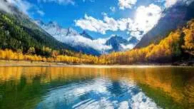 中國四川阿壩州|畢棚溝景區入場門票观光车套票