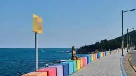 濟州島 西部 1日巴士遊 |西部感性之遊