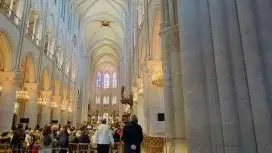 PRIVATE- Notre Dame Cathedral Paris Interior Guided Tour with Licensed Guide
