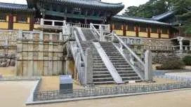 경주 핫플투어 1일 버스투어|경주 버스 일일 투어