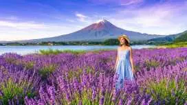 Mount Fuji Six Scenic Highlights Photo Day Tour | Arakurayama Sengen Park & Hikawa Clock Shop & Oshino Hakkai & Lake Kawaguchi Oishi Park & Lawson Convenience Store & Swan Feeding at Lake Yamanaka (Chinese / English / Korean Guide Service)