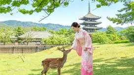 [Kyoto, Nara, and Uji Day Tour] Nara Park, Fushimi Inari Taisha Shrine, Thousand Torii Gates, World Cultural Heritage Todaiji Temple, Byodoin Temple, Uji Matcha, Uji Park (Depart from Osaka or Kyoto)