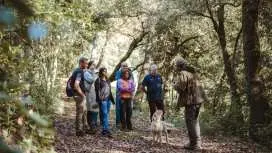 托斯卡納松露狩獵之旅,搭配新鮮義面午餐和葡萄酒品嚐