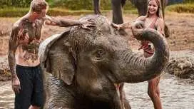 Bali Elephant Mud Fun Experience | Elephant Bathing & Interaction Tour | Departure from Bali