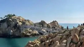 海岸線、文化、そしてリュージュ:蔚山と清道(2泊3日の旅)