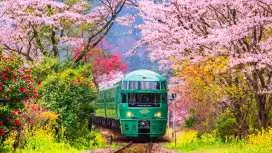 규슈 1일 합승: 유후인노모리 열차 & 유후인 타운 & 다자이후 & 우미지고쿠 (후쿠오카 출발)