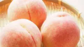 "Private tour! All-you-can-eat peach picking in Fuefuki! Take home 3 "Daitoryo" peaches with a sugar content of 12 degrees or higher!" [Departing from Shinjuku, Ueno, and Tokyo]