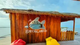 Bintan Snorkeling Tour | White Sand Island & Coral Reef Experience with Boat Transfer