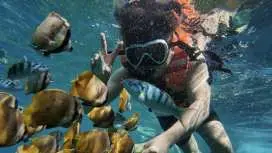 Nusa Lembongan Snorkeling Adventure: 3 Spots Manta Bay