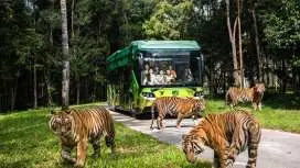 VinWonders + Vinpearl Safari Phu Quoc + Private Transfer|Phu Quoc Island