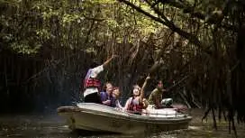 Bintan Mangrove Day Tour | Sebung River Eco Adventure with Hotel Transfer
