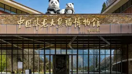 中國四川阿壩州 | 臥龍大熊貓保護研究中心神樹坪基地入場門票