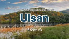 釜山発、蔚山の歴史と海岸の癒しを体験する日帰りツアー