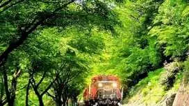 "Enjoy Kyoto to the fullest! Arashiyama, Sagano Scenic Railway, Miyama Thatched Village ~ Kyoto-style Obanzai Lunch Buffet ~" [Departing from Umeda, Namba, and Kyoto]