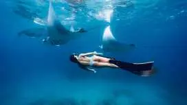 努沙佩尼达岛全日浮潜和陆地游览(全包)