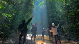 云南西双版纳 | 基诺山雨林徒步(含雨林大餐)| 不含接送