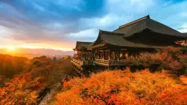 大阪出發|關西地區周邊(京都・奈良・神戶・和歌山・天橋立・伊根舟屋・高野山・姫路城)自由客製化一日遊【專屬包車】