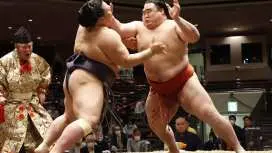 【大相撲観戦ツアー】両国国技館 大相撲 東京場所観戦+相撲体験&ちゃんこ鍋ランチ