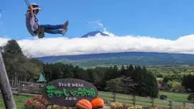 【親子賞櫻推薦】富士山網紅景點 & 馬飼野牧場 & 田貫湖 & 新倉山淺間公園一日遊拼車遊 可選9人團飯店接送方案