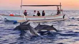 峇里岛:观赏海豚、乌伦达努布拉坦水上寺庙、汉达拉标志性大门、瓦纳吉里隐密山丘和双湖观景点 - 全天游(全包)