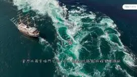 【綠牌正規運營】日本四國包車一日遊|香川縣高松市/德島縣德島市出發結束|金比羅宮/高屋神社/鳴門漩渦/祖谷蔓橋/祖谷溪/大步危峽|客製化包車服務