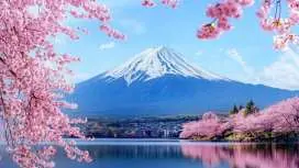 【ทริปเที่ยวภูเขาฟูจิแบบคลาสสิก】|สวนนิคุรายามะ อาซามะ · โอชิโนะ ฮักไก · โกเทมบะ เอาท์เล็ต หรือ ออนเซ็น|ออกเดินทางจากโตเกียว